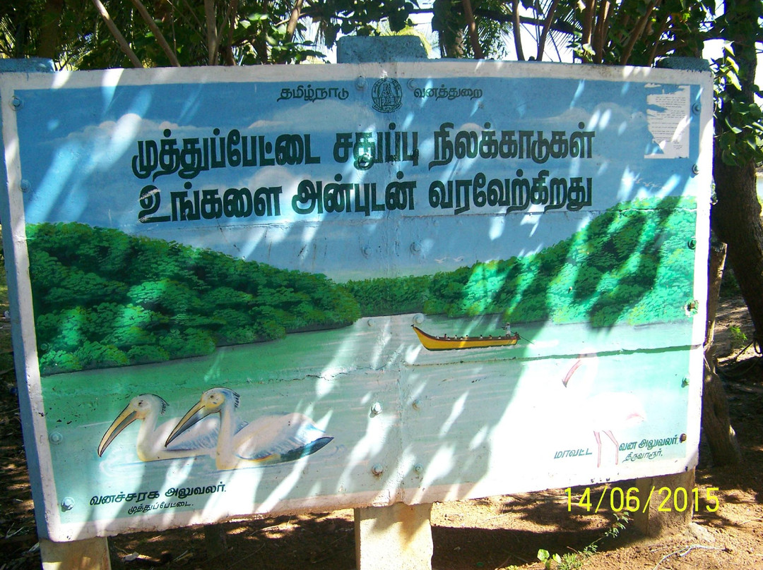 Muthupet Lagoon景点图片