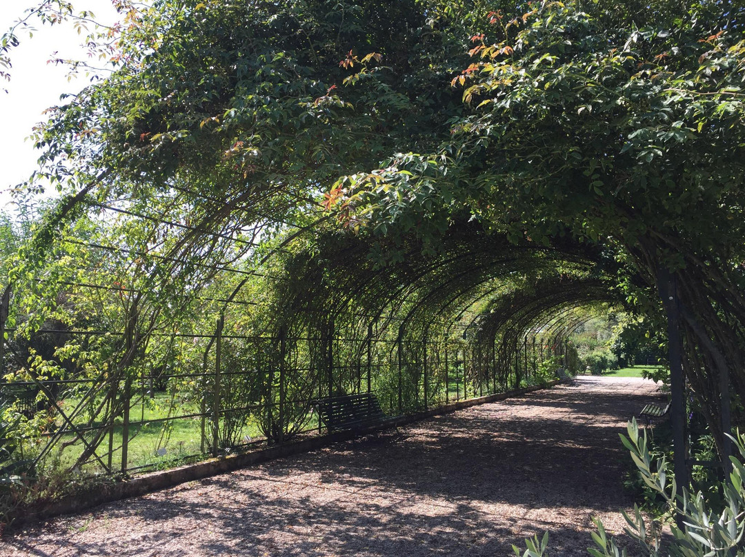 Jardin Botanique de Marnay sur Seine景点图片