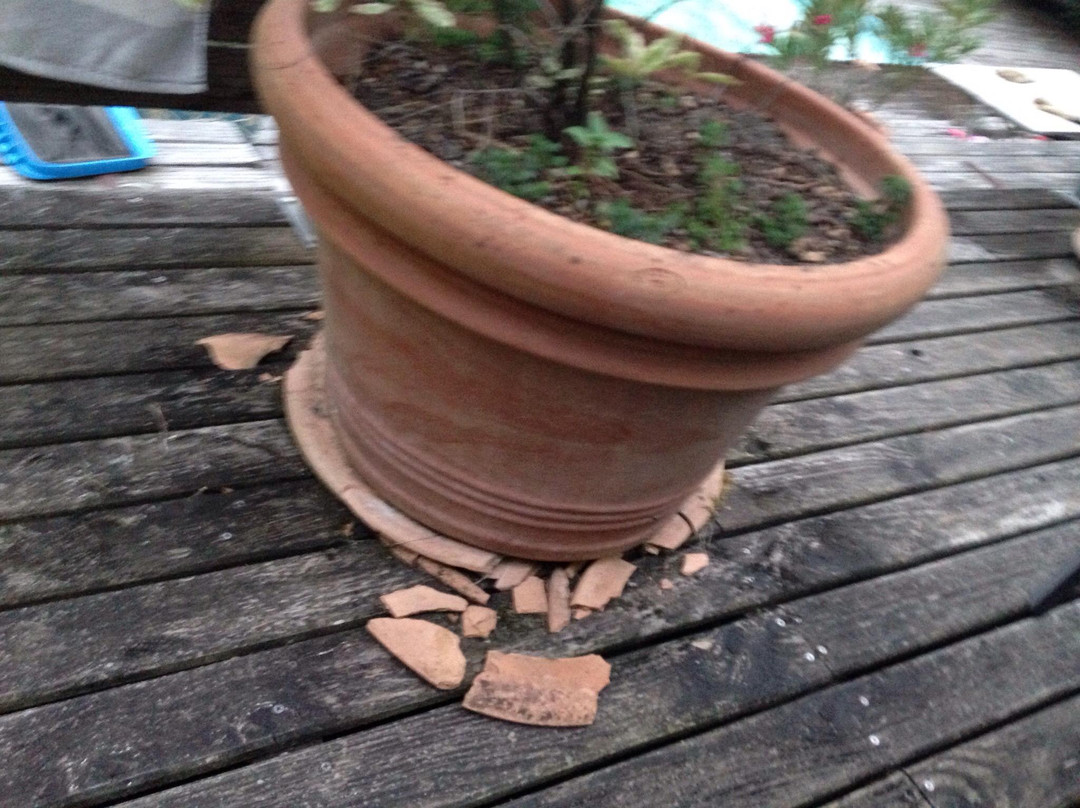 Domaine de l'Adour主图