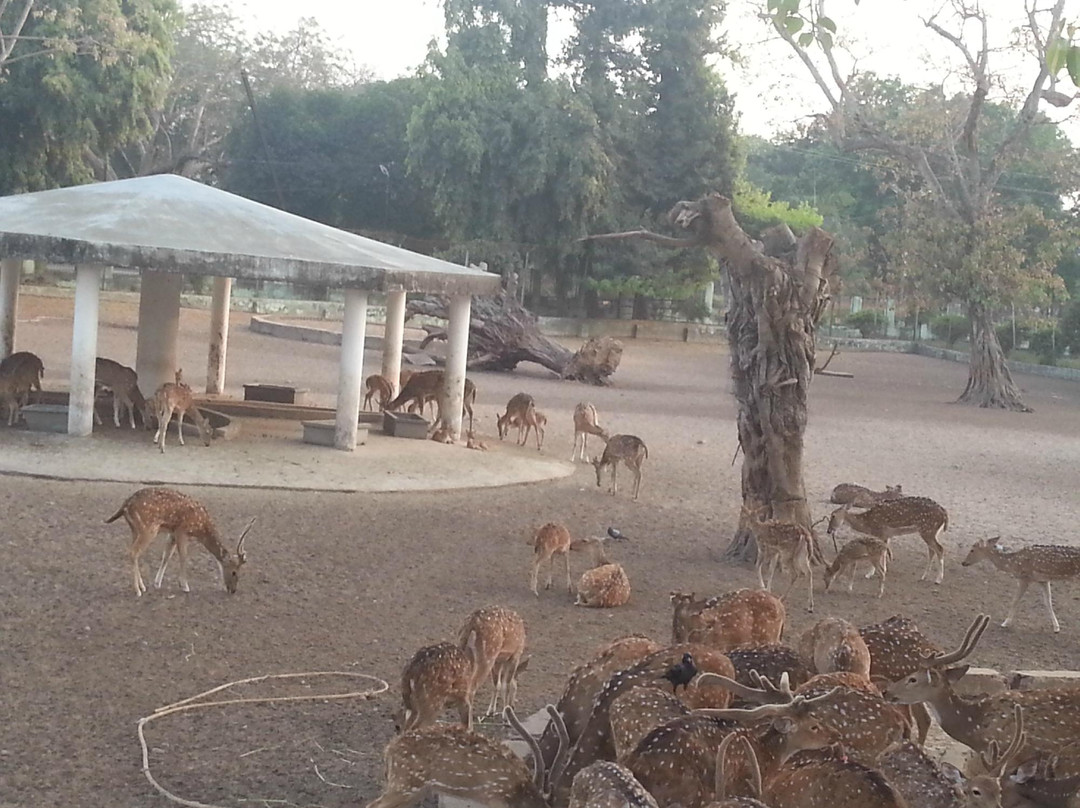 Deer Park景点图片