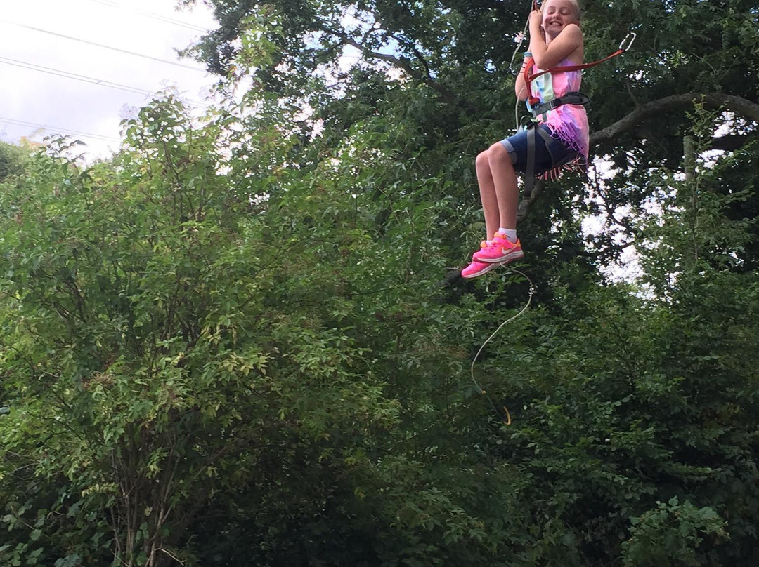 Jungle Parc - Northampton-韦灵伯勒必去景点