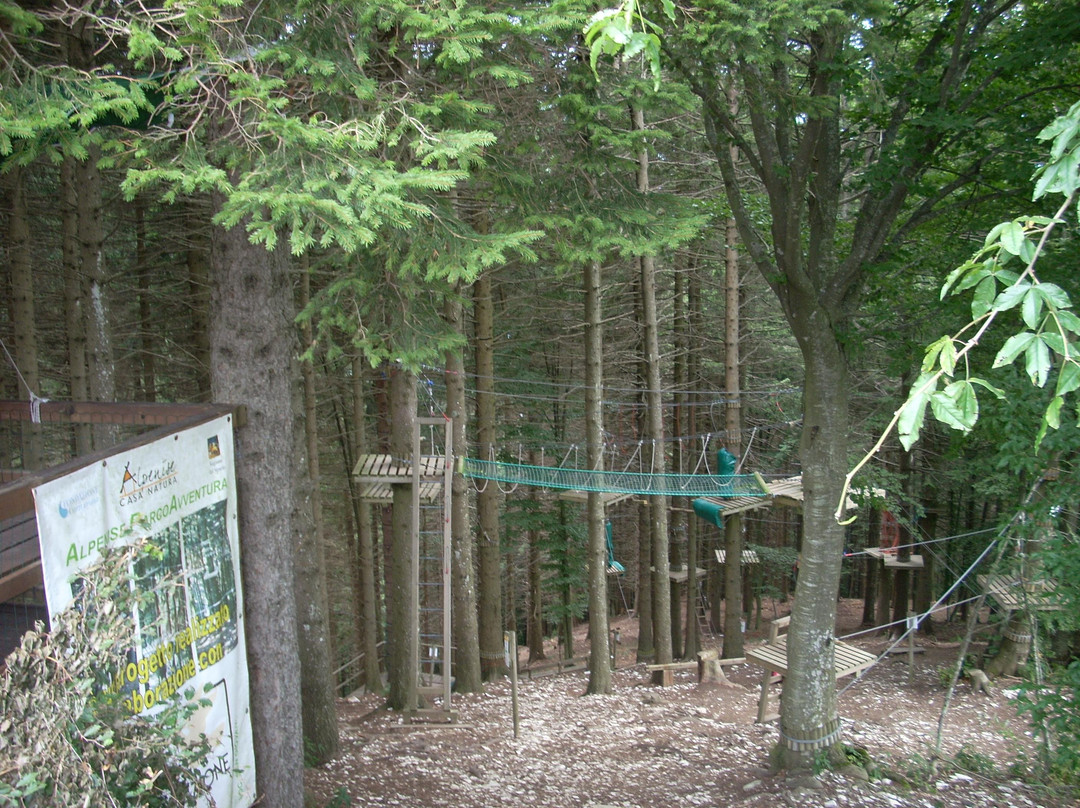 Alpenise Parco Avventura景点图片