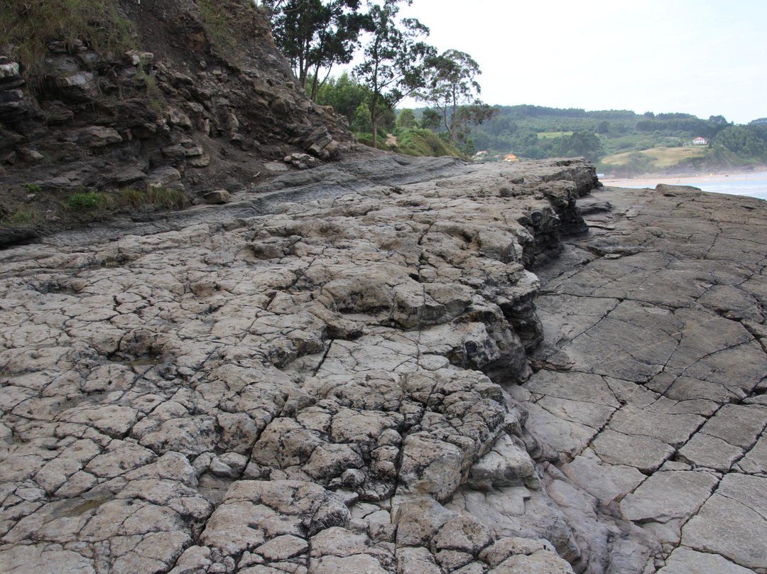 Yacimiento de Icnitas de la playa de la Griega景点图片