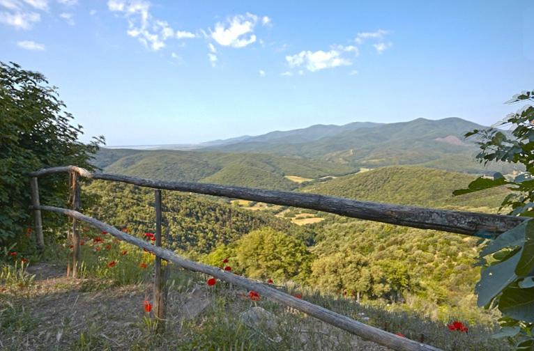 Il Baciarino