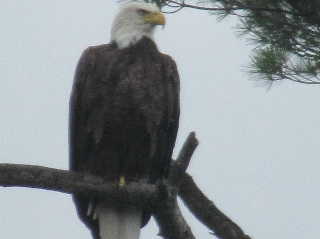 Wisconsin River Cruises-Rhinelander必去景点