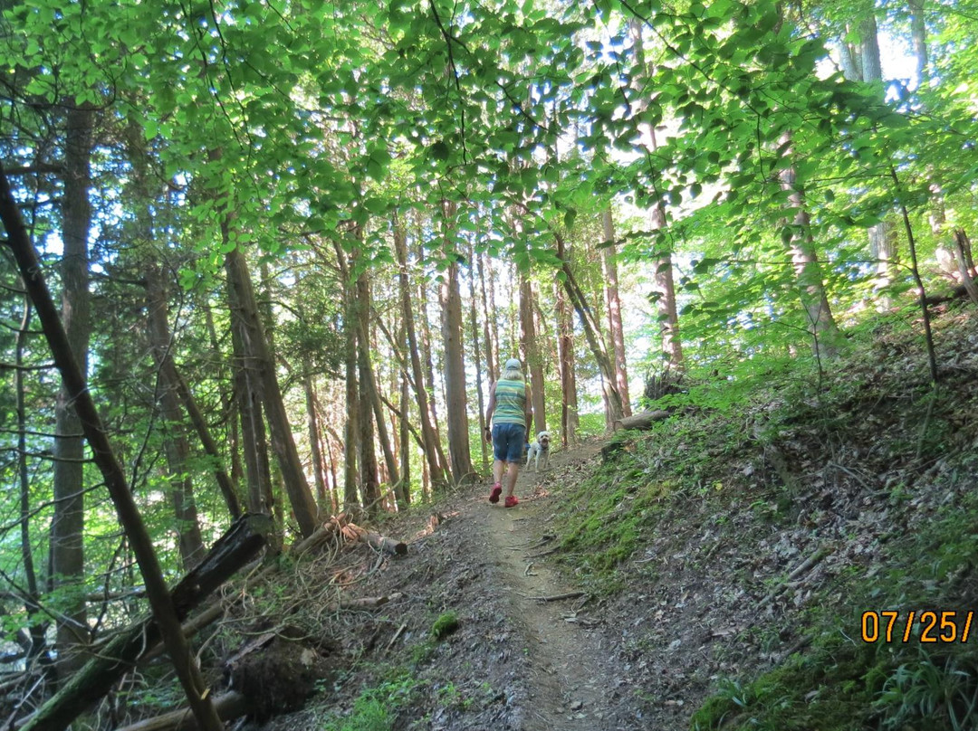 Lake Vesuvius Recreation Area-Ironton必去景点