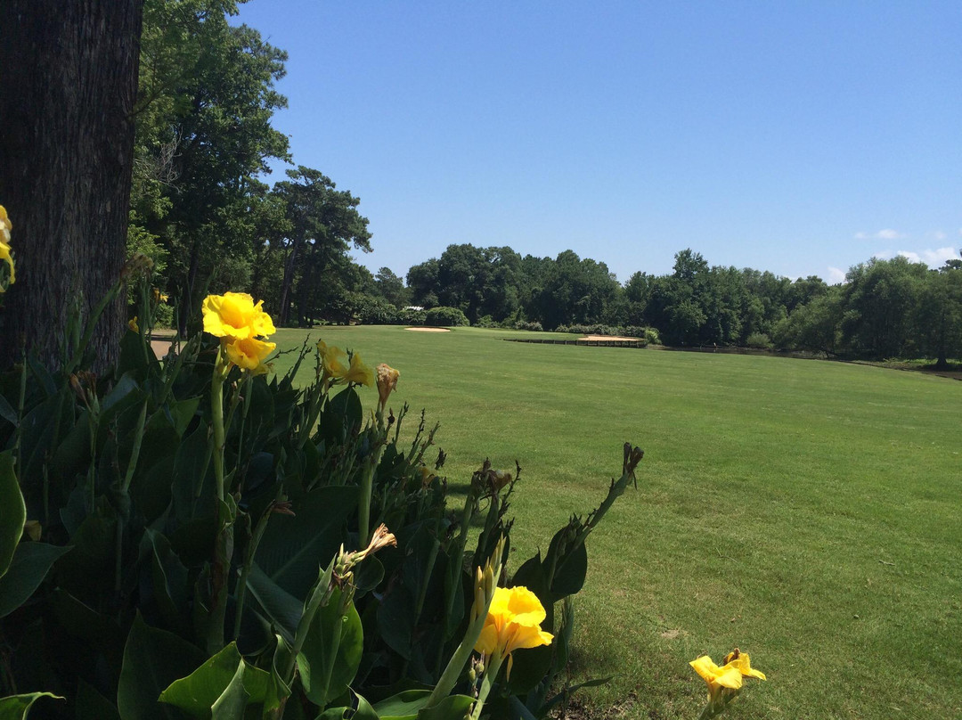 Sea Scape Links Golf Course景点图片