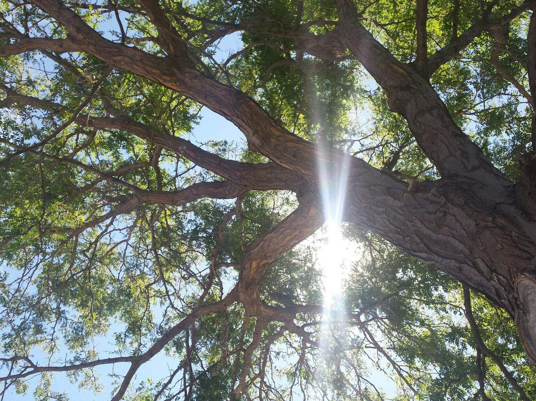 Boyd Lake State Park-拉夫兰必去景点