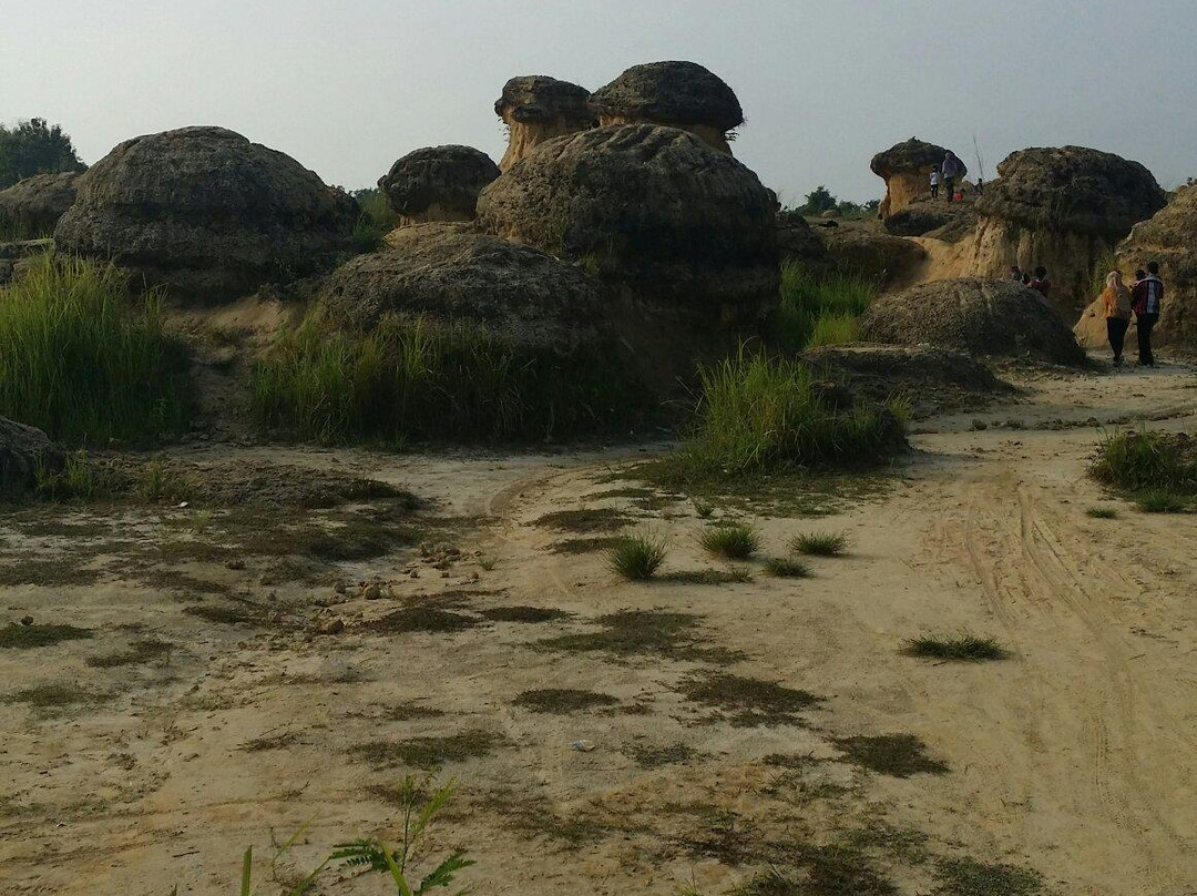 Jamur Hill景点图片