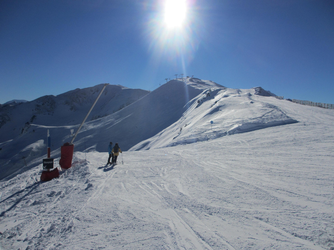 Pyrenees Haven主图