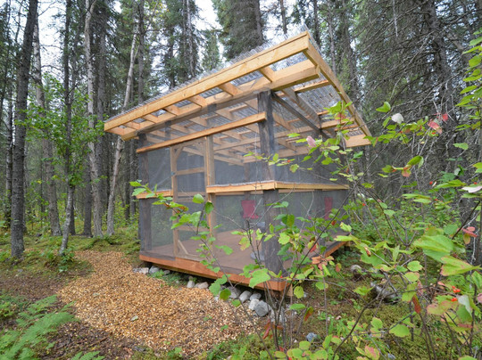 Tulchina Adventures-Port Alsworth必去景点