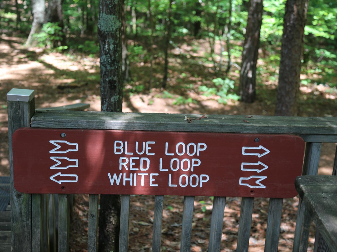 Pickett's Mill Battlefield-达拉斯必去景点