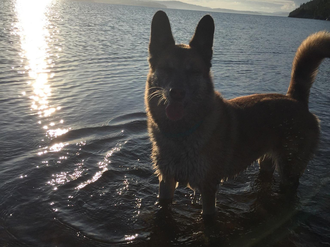 Dominion Park-圣约翰必去景点