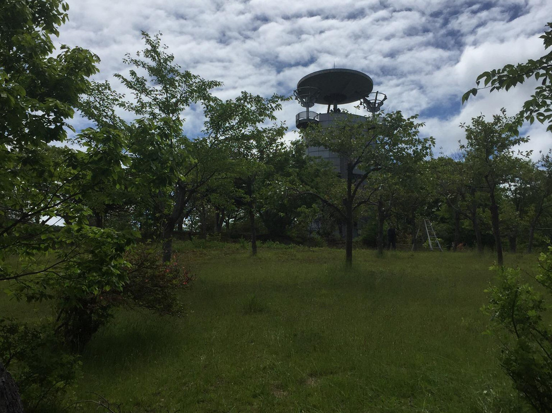 Tomei Park-美呗市必去景点