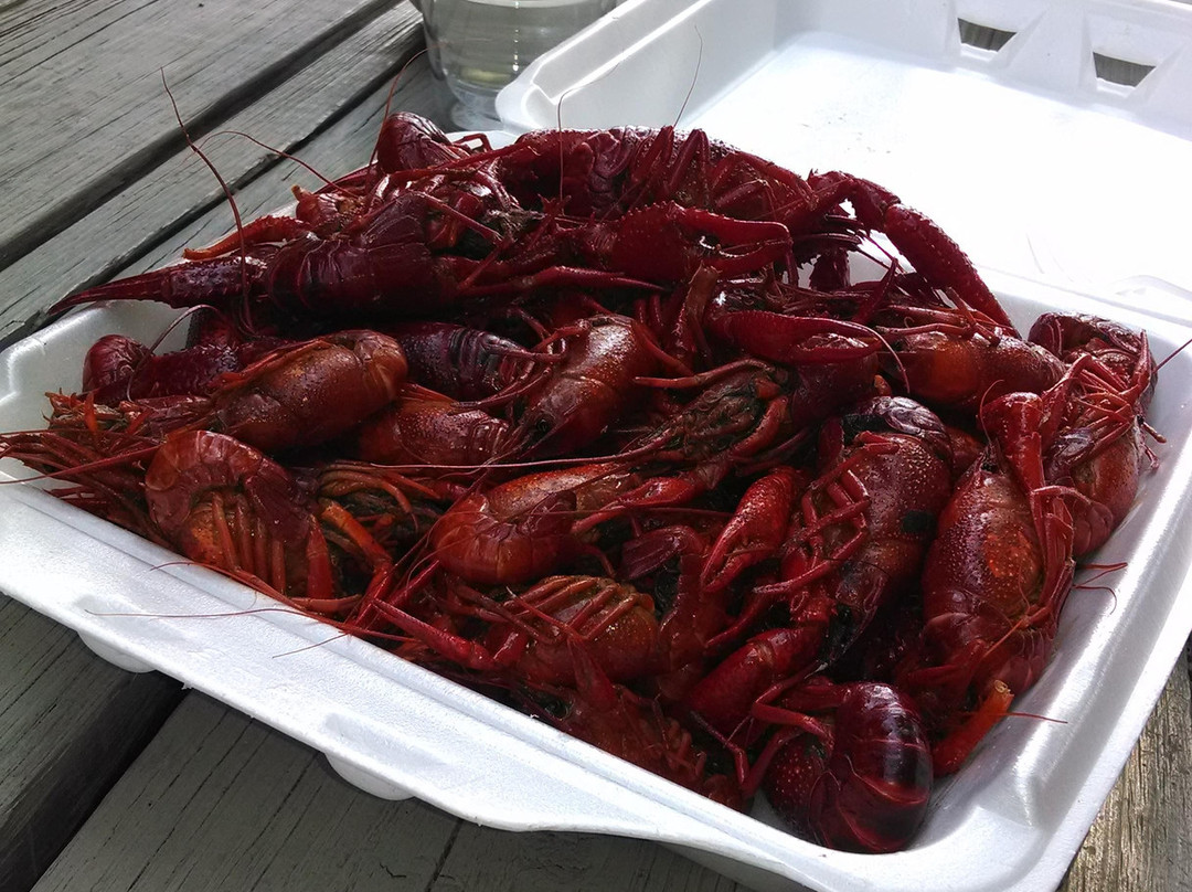 Spearsville餐馆和美食-The Rockin' Cajun Tamale