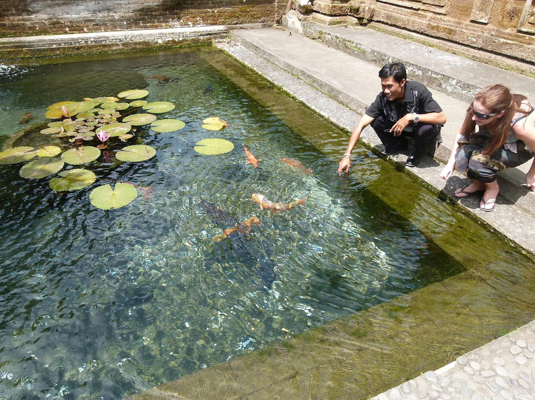 Saba Bali Trans - Day Tours-乌布必去景点