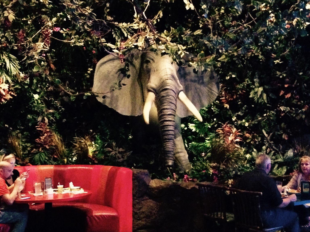 Opry Mills-纳什维尔必去景点