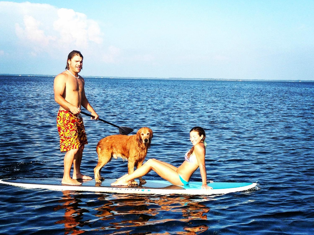 Island Fit Stand Up Paddleboard & Yoga景点图片