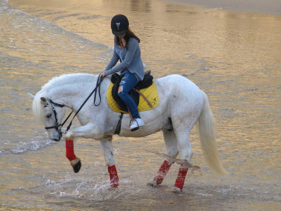 Palominas Atividades Equestres-辛特拉必去景点