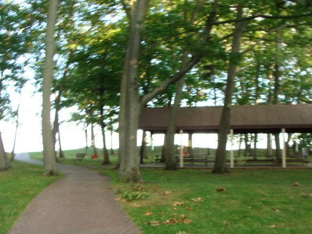 Centennial Park-科尔本港必去景点