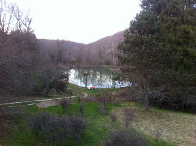 L'Orchidee Home-客卧