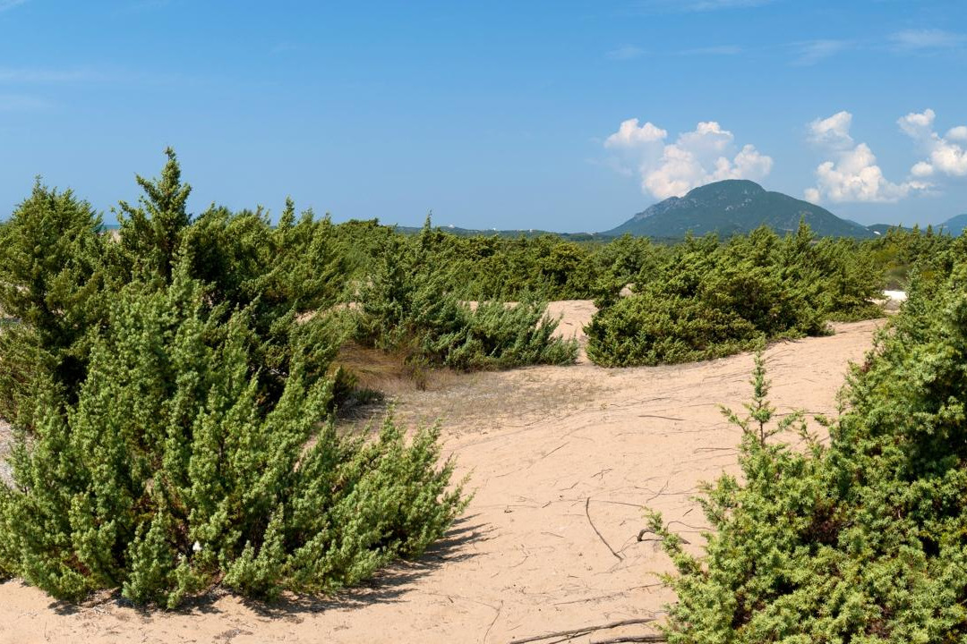 Korissia Lagoon-Halikounas必去景点