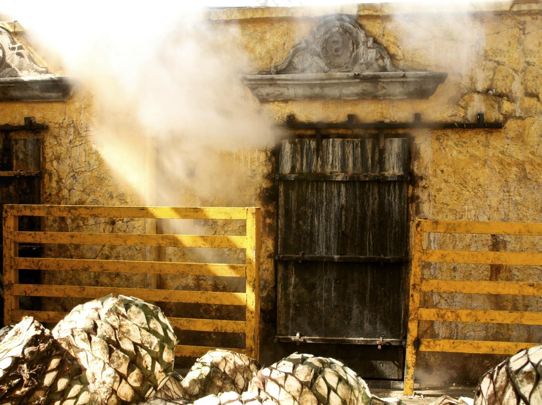 Fábrica La Rojeña-特基拉必去景点