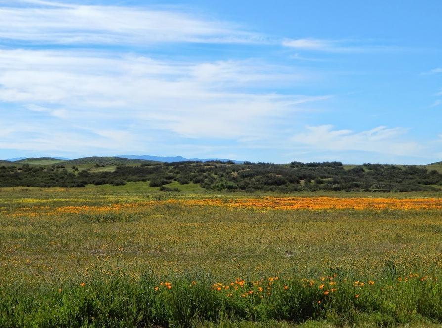 Lake Skinner State Park主图