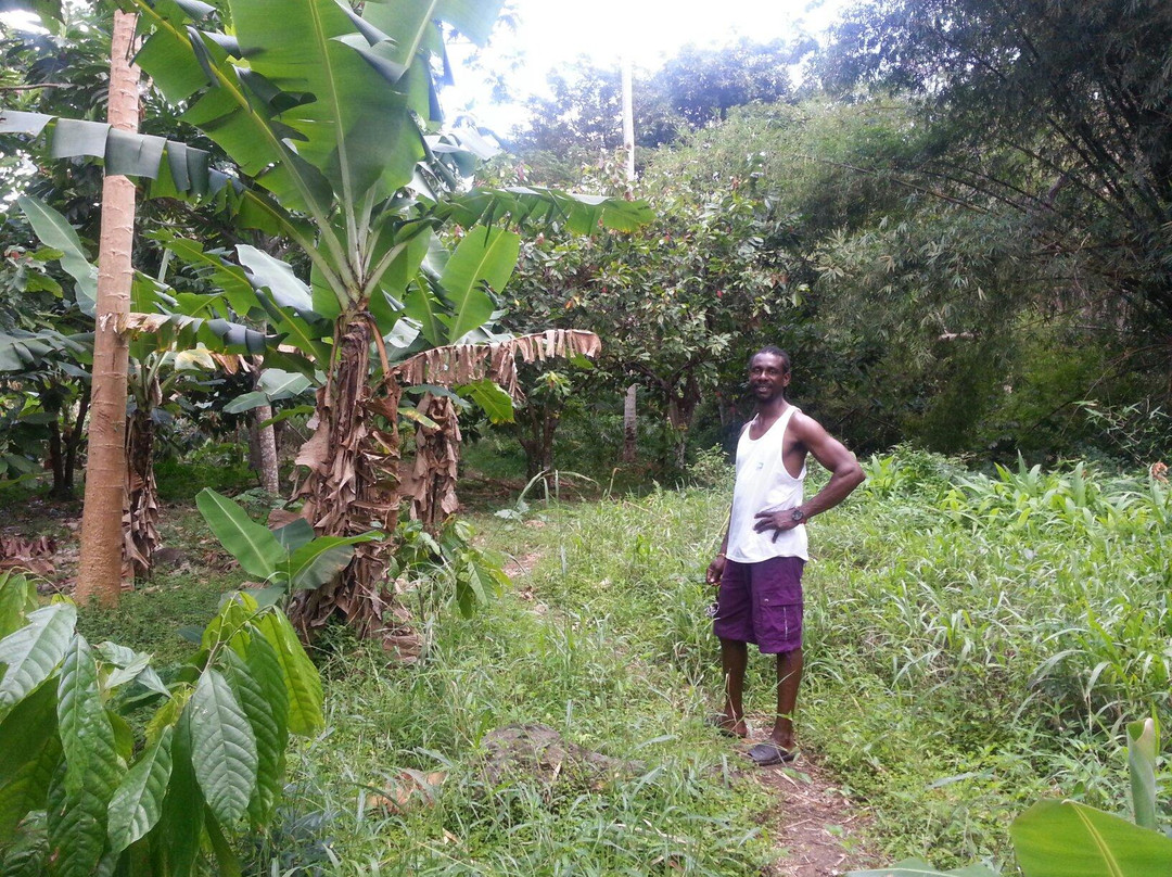 Black Bay Beach-格林纳达必去景点