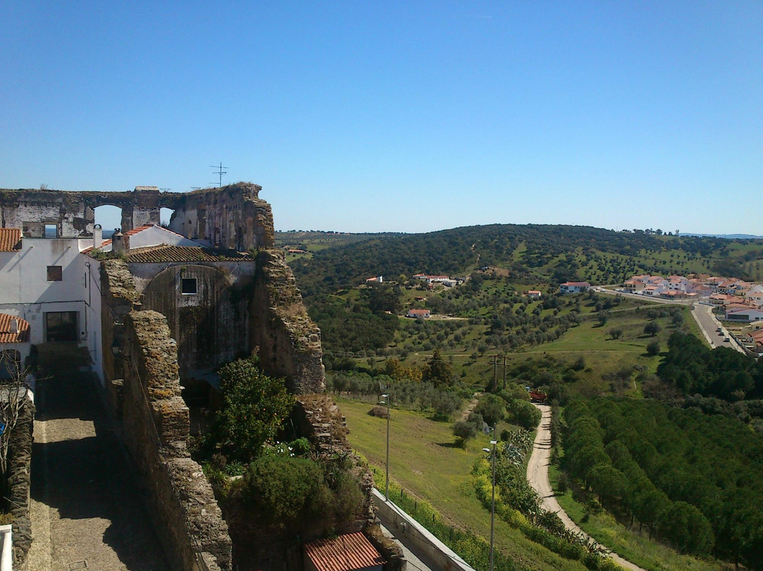 Avis旅游攻略图片