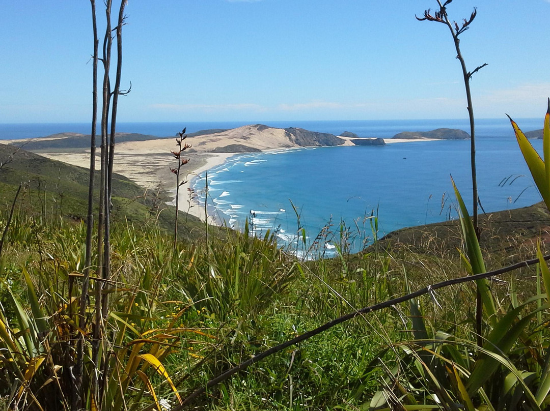Cape Reinga Lighthouse景点图片