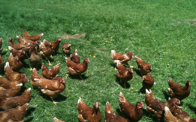 Mace Chasm Farm-Keeseville必去景点