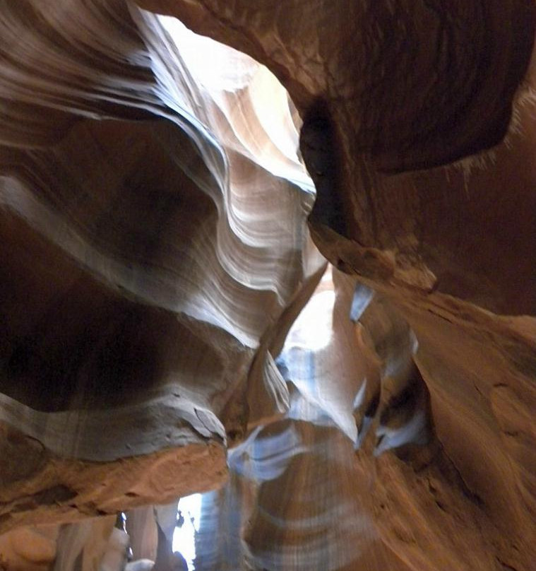 Carolene Ekis-佩吉必去景点