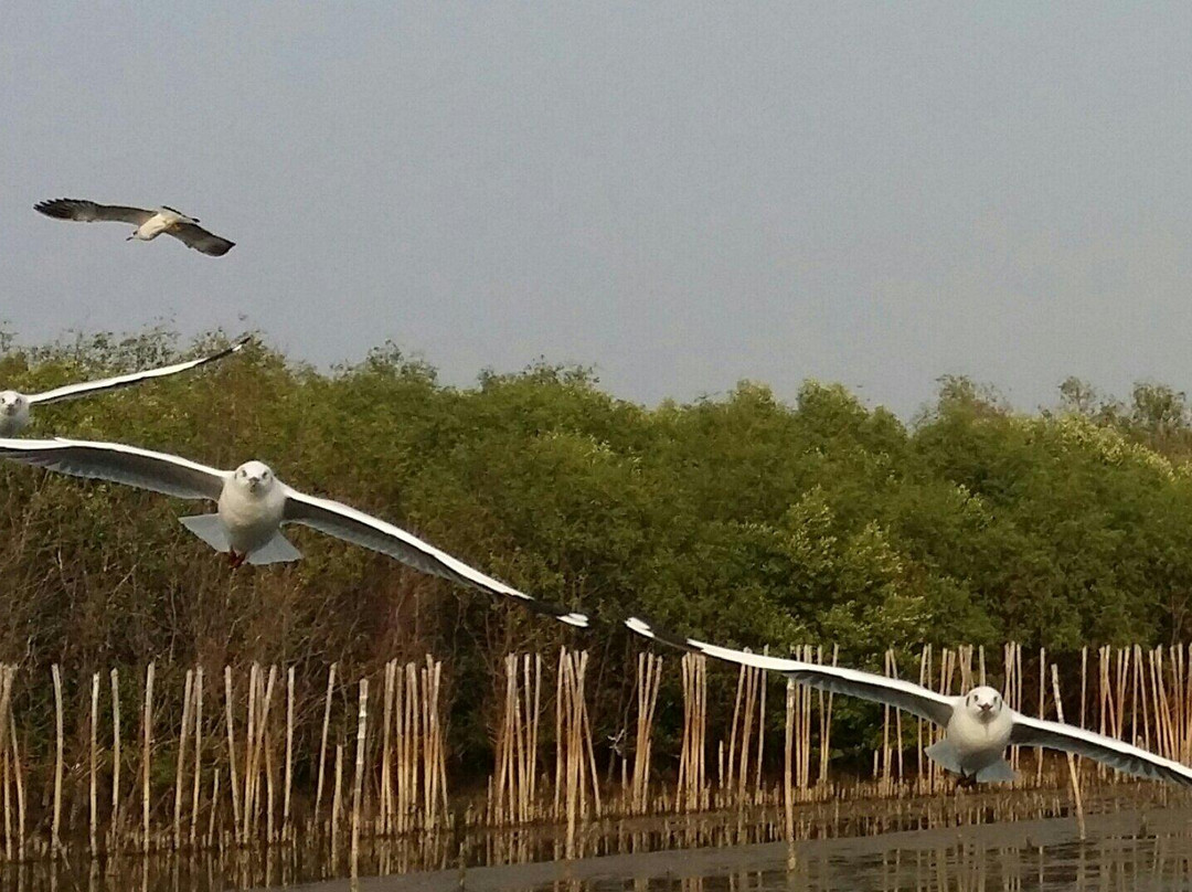 Bangpu Recreation Center-北揽必去景点