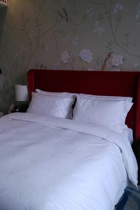 华侨城温泉奥思廷酒店主图