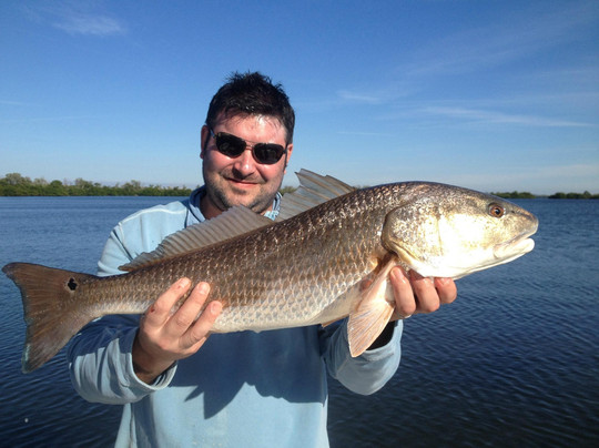 Reelfishing Charters-Boca Grande必去景点