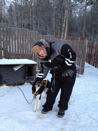 Northern Lights Husky Day Tours-阿尔塔必去景点