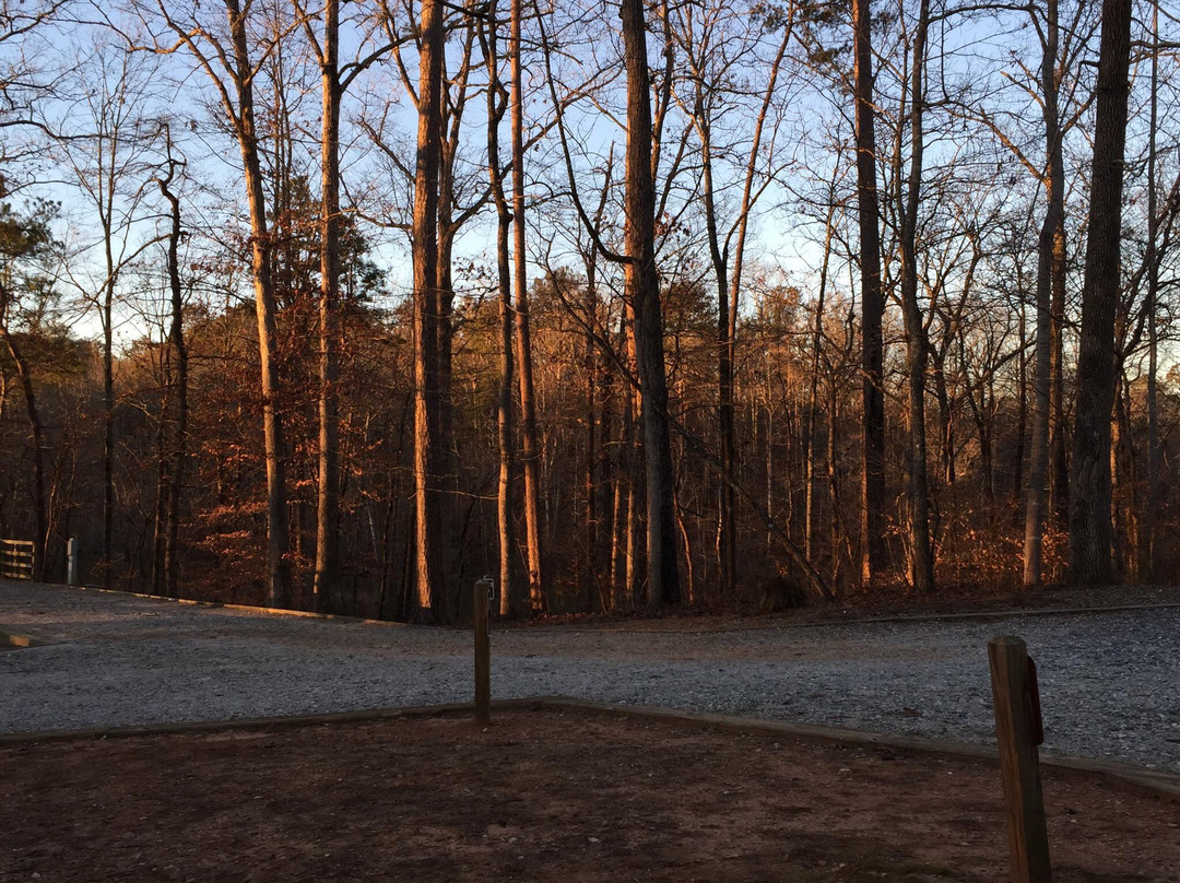 Indian Springs State Park-Flovilla必去景点