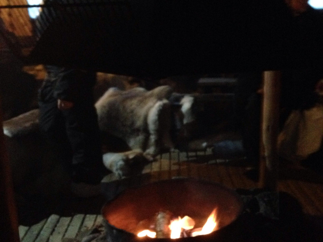 热情拉普兰探索之旅-罗瓦涅米必去景点