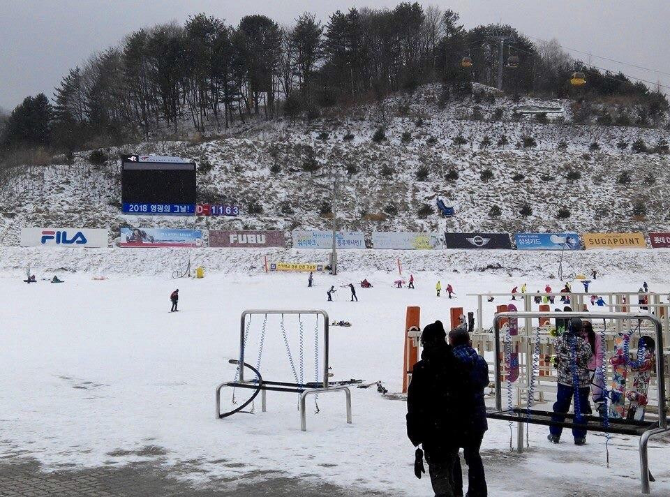 Phoenix Snow Park-平昌郡必去景点