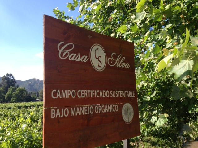 Viña Casa Silva-San Fernando必去景点