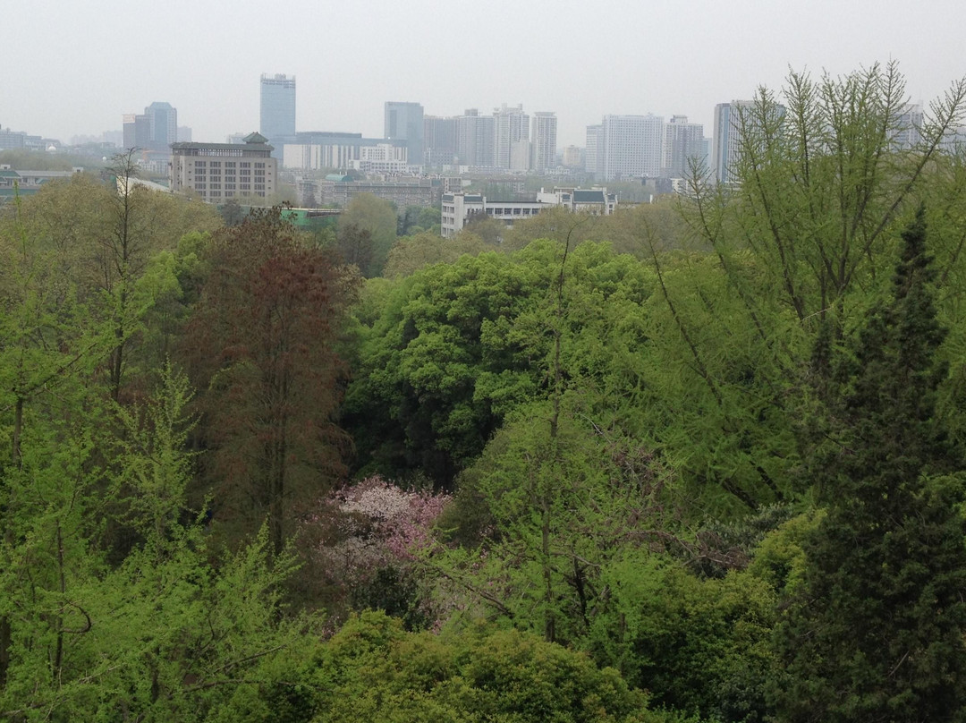 武汉大学-武汉市必去景点