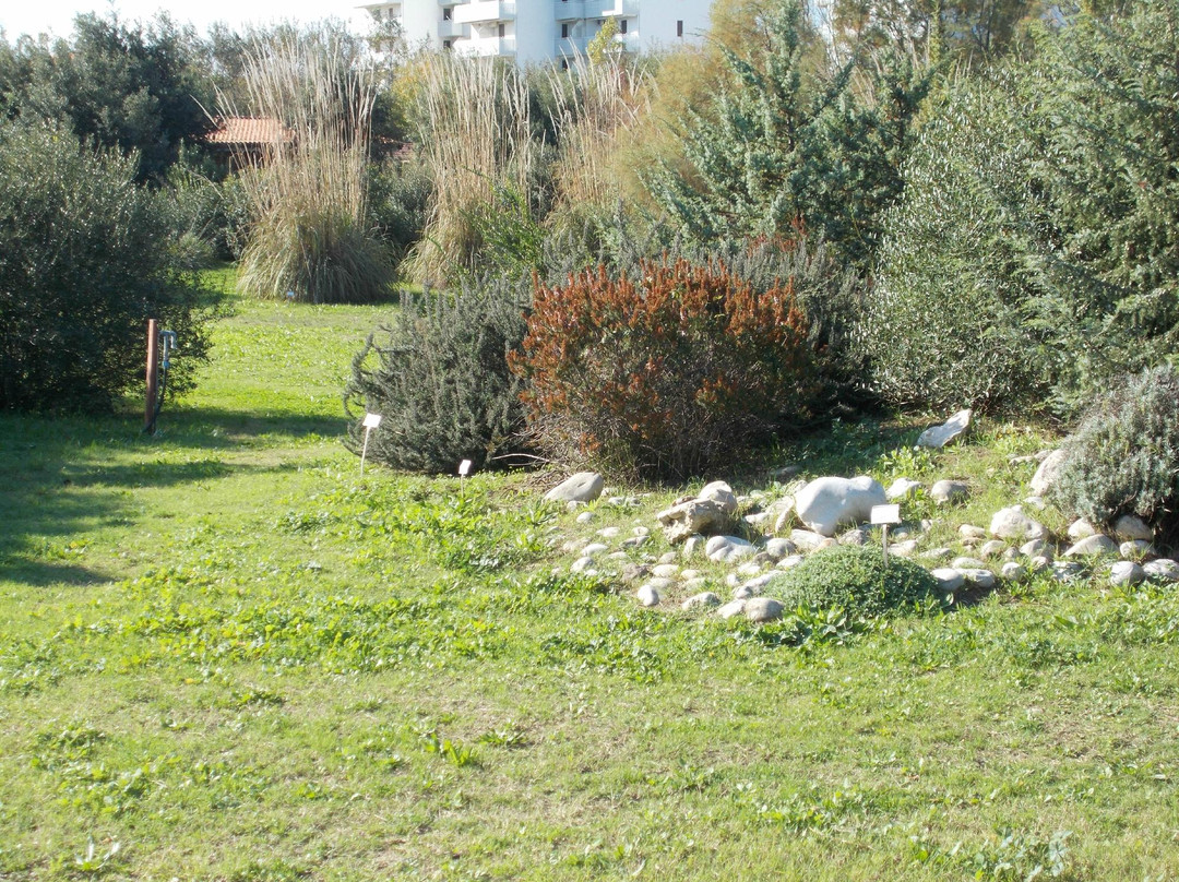 Mediterranean Botanical Garden and Coastal Biotope景点图片