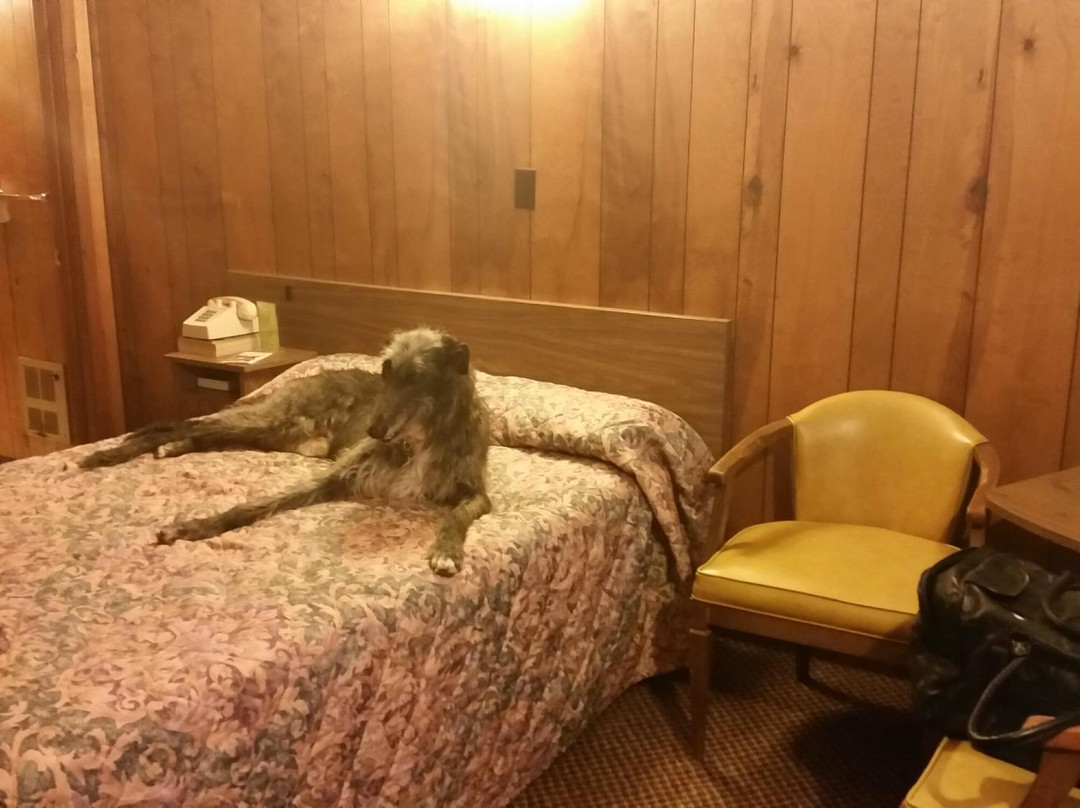 Birney酒店住宿-Western 8 Motel