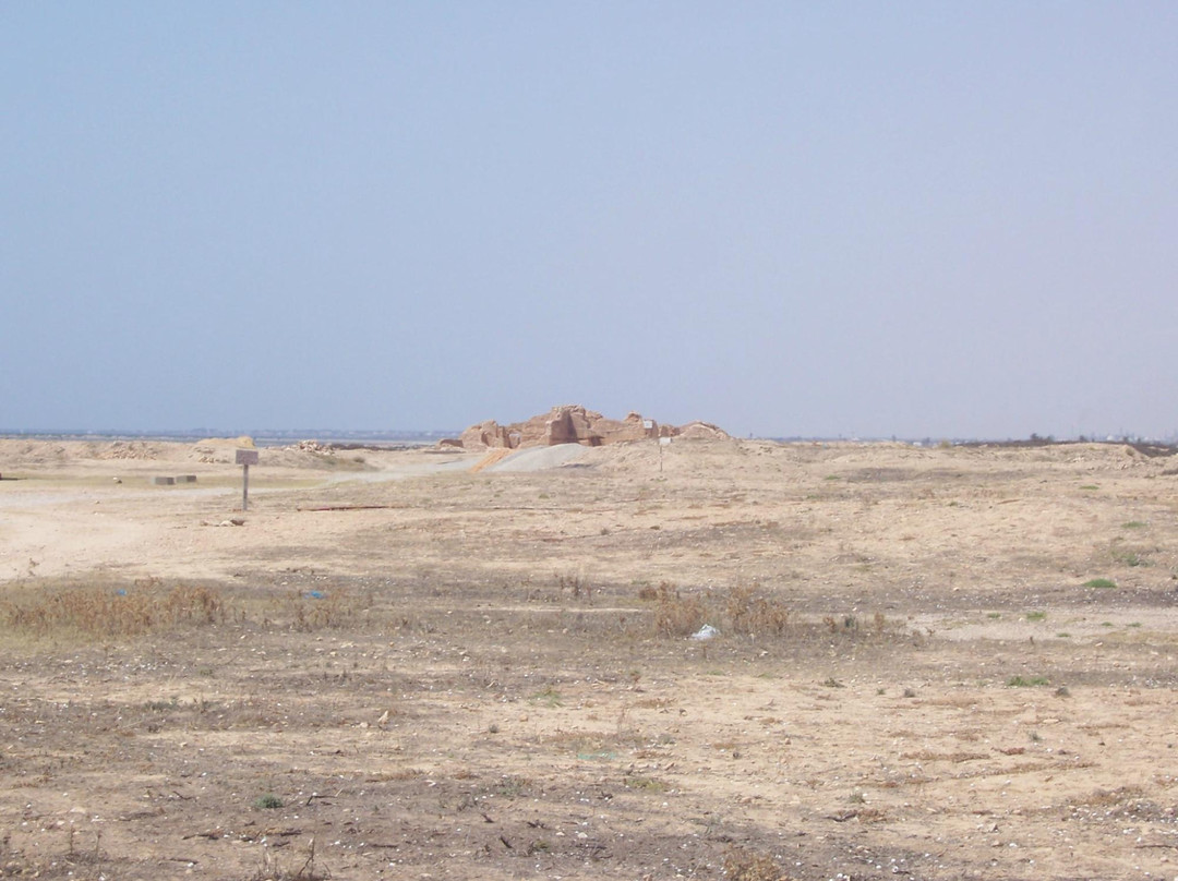 Site Archeologique Thyna-斯法克斯必去景点