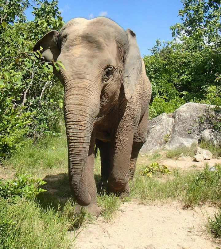 金边野生动物园-金边必去景点