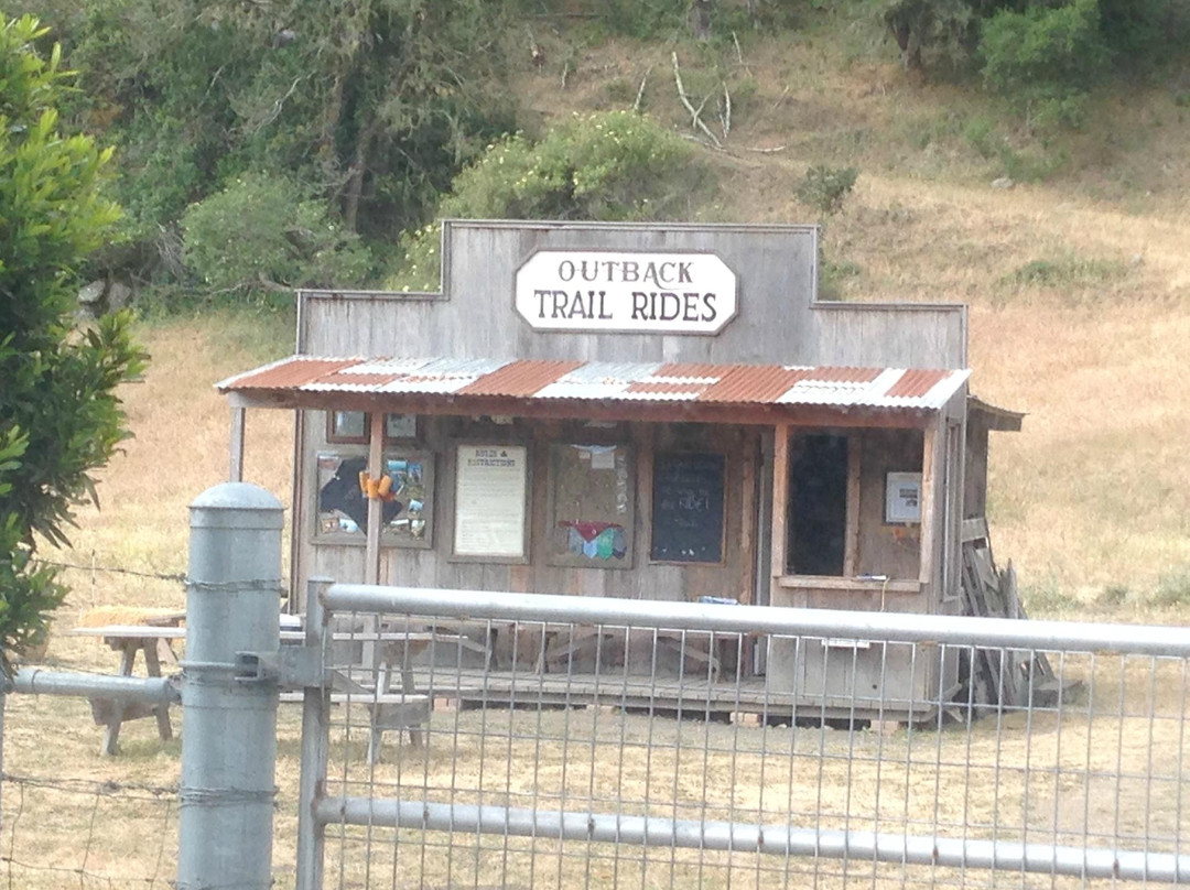 Outback Trail Rides景点图片