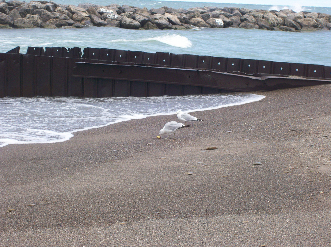 派斯克小岛州立公园 -伊利必去景点