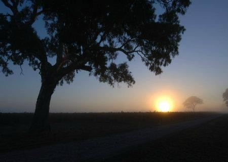 Brand's Laira-Coonawarra必去景点