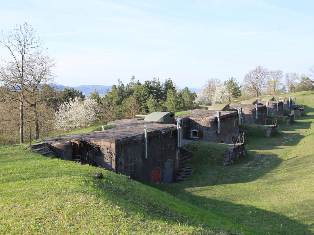 Mutzig Fort-Dinsheim-sur-Bruche必去景点